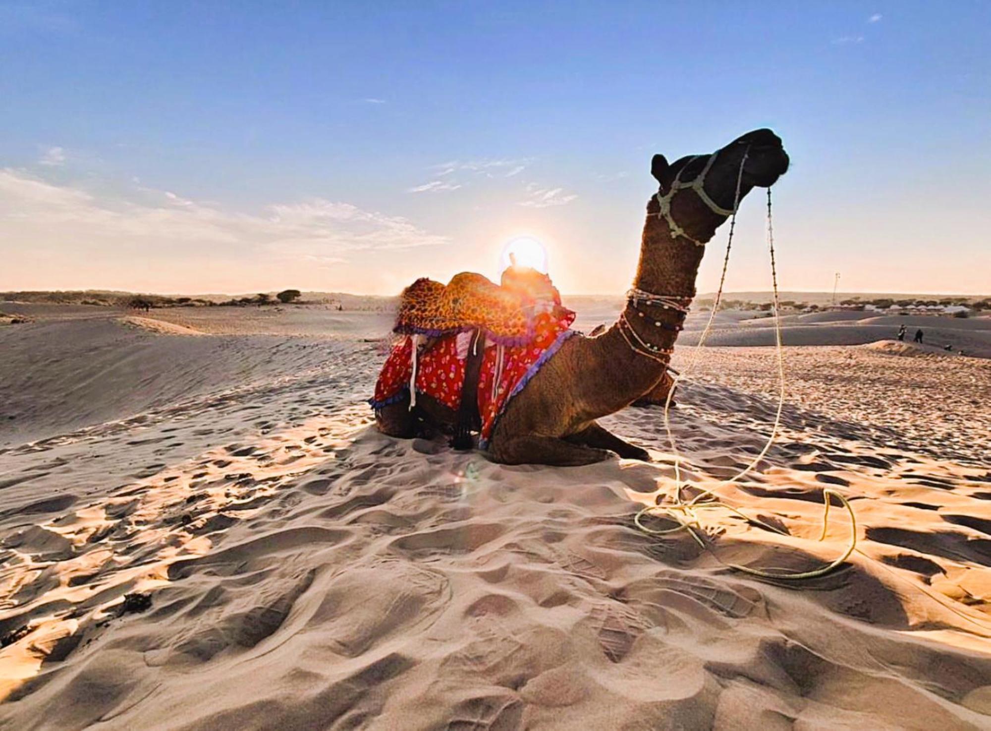 Jaisalmer Sand Dunes Luxury Camp And Resort Bagian luar foto
