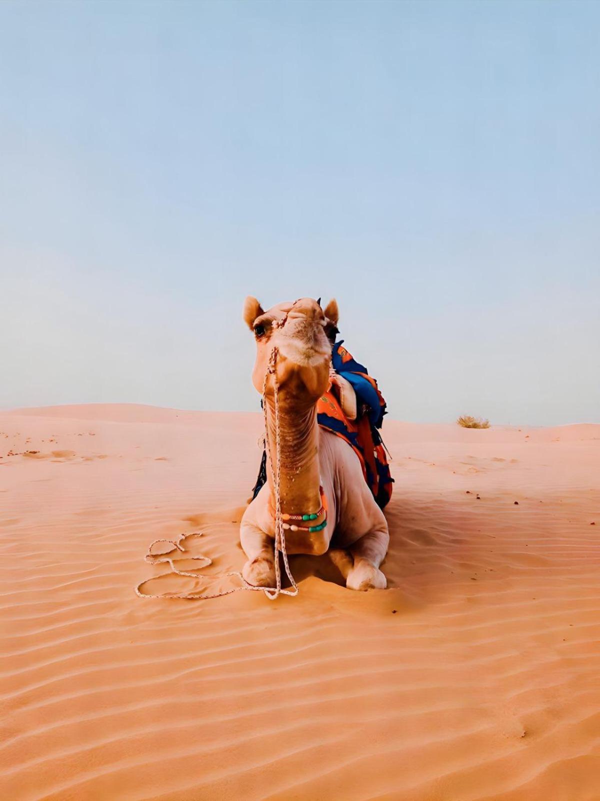 Jaisalmer Sand Dunes Luxury Camp And Resort Bagian luar foto